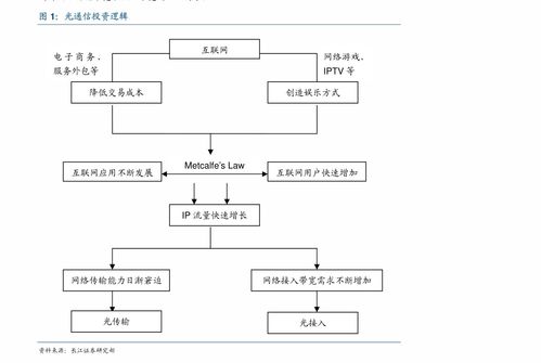 控股公司的业务与服务详解 从概念到功能